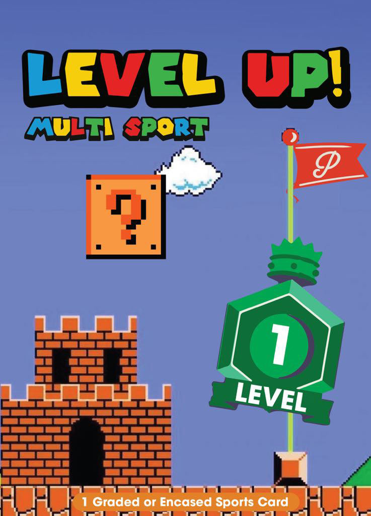 Level 1