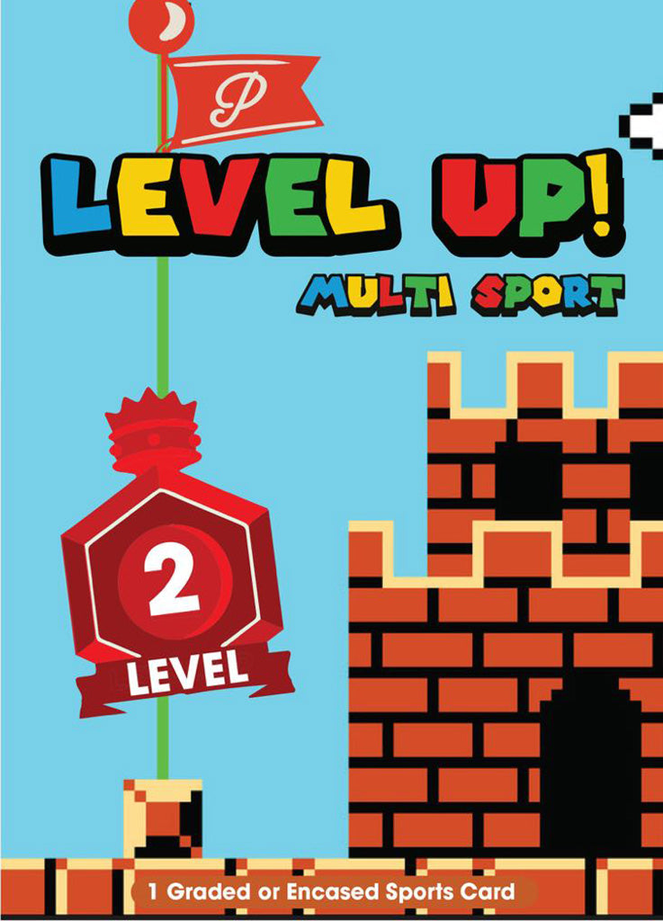 Level 2