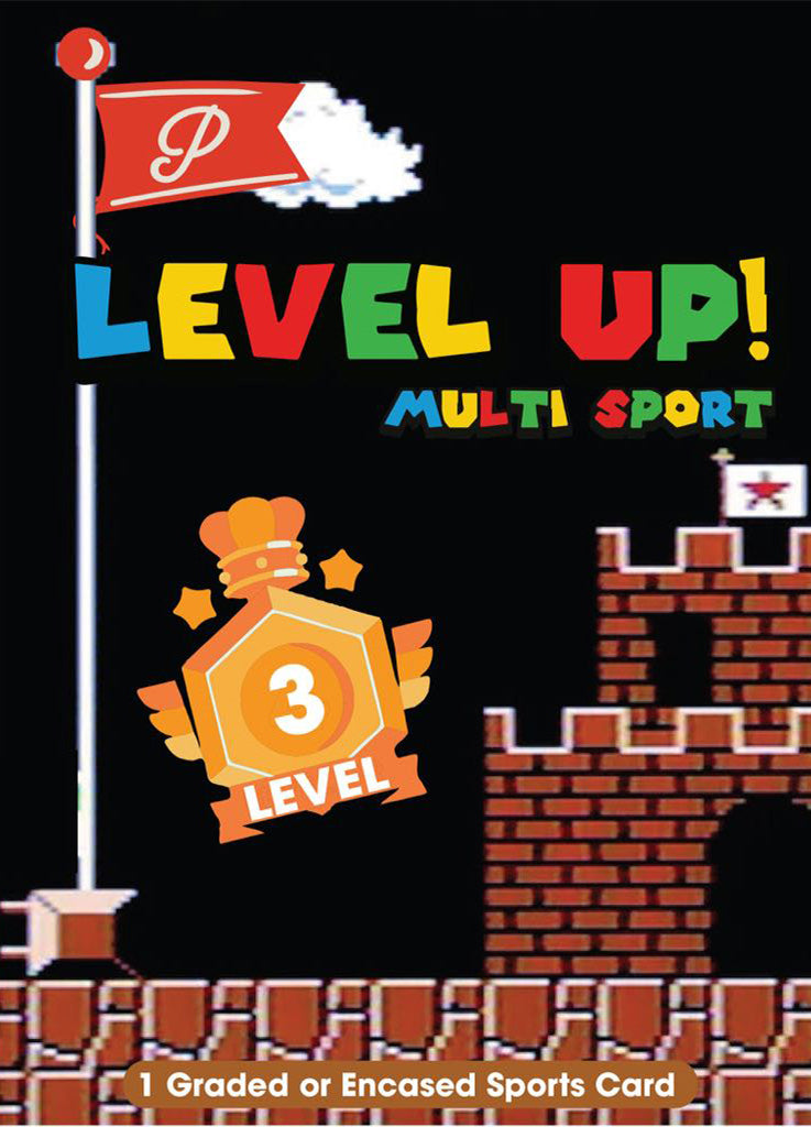 Level 3