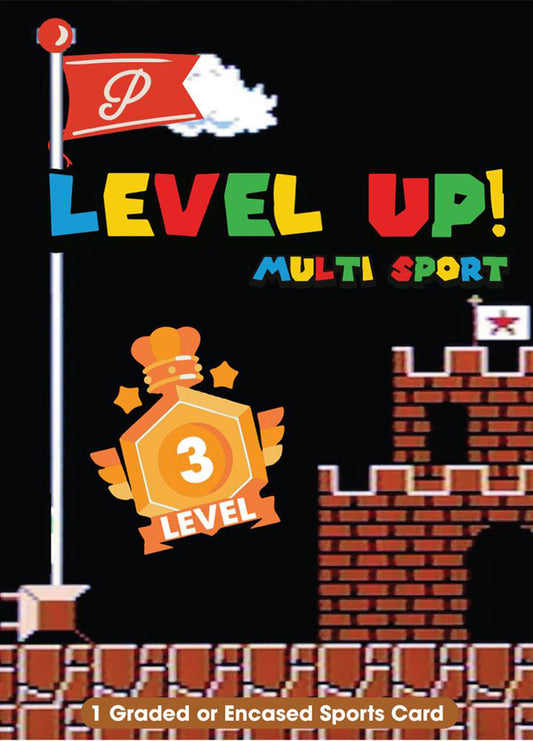 Level 3