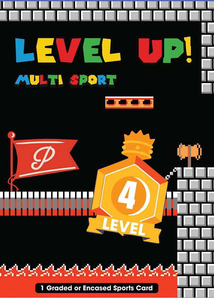 Level 4